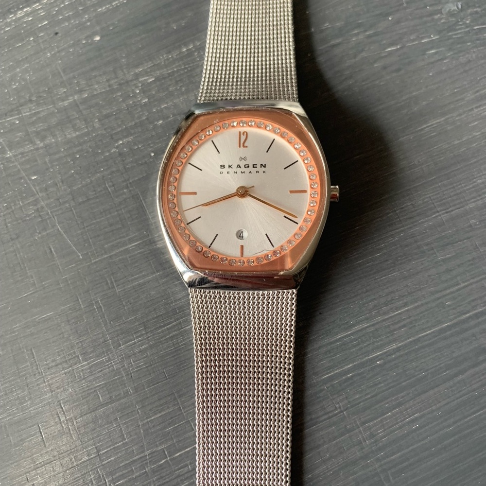 Skagen Denmark Watch